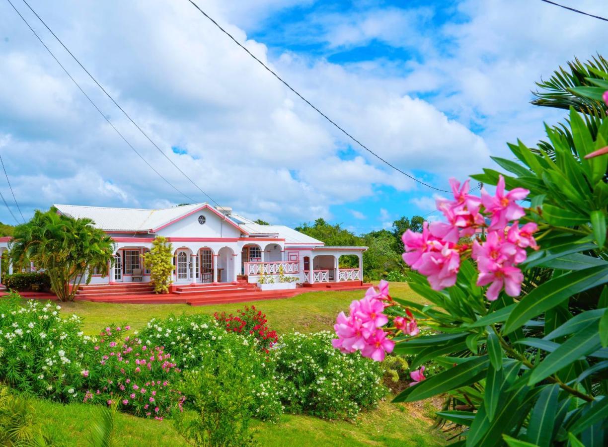 Sunny Palm Villas Laborie Exterior foto
